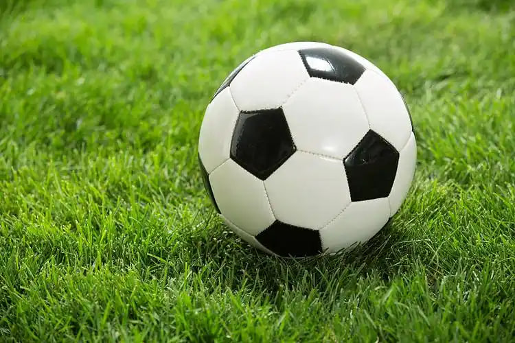 四场进球即时比分平台界面展示